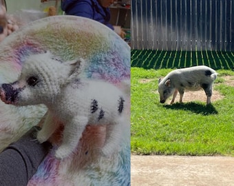 Personalized Pet Gift, Pet Memorial, Custom Stuffed Rabbit, Custom Stuffed Horse, Crochet Pet, Custom Stuffed Animal, Custom Pet Plush