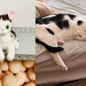 May include: A black and white crocheted cat toy with green eyes sits on a shelf above a pile of crocheted balls. A black and white cat sleeps on a white bed.