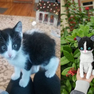 May include: A black and white kitten with blue eyes sits on a person's lap. A crocheted black and white kitten with blue eyes sits in a person's hand.
