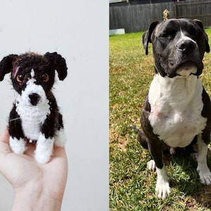 Look Alike dog crochet, Custom Crochet Dog, Custom Dog Plush, Custom Stuffed Dog, Custom Pet Plush, Pet Gift, Dog lover gift, Christmas Gift