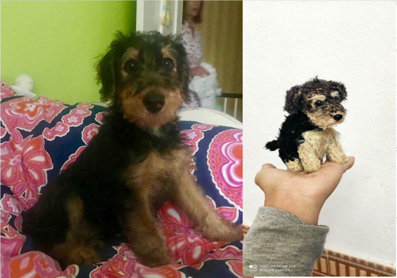 Op de afbeelding: Een zwart-bruine puppy die op een roze-blauw bed met patroon zit. De puppy heeft een zwarte neus en bruine ogen. De puppy kijkt naar de camera.