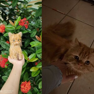 May include: A close-up of a small, orange knitted cat toy. The toy is being held in a person's hand. The background is a green bush with red flowers.