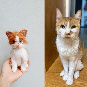 May include: A crocheted orange and white cat toy sitting in a hand. Next to it is a real orange and white cat sitting on a wooden surface.