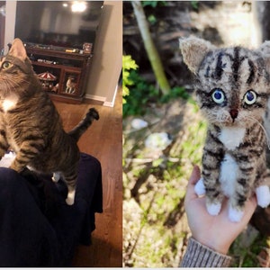 May include: A brown tabby cat with white markings is standing on a couch. Next to it is a felted replica of the cat, with blue eyes and white paws.