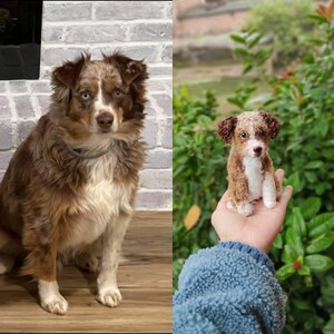 Op de afbeelding: Een bruine en witte Australian Shepherd die voor een bakstenen muur zit. Een kleinere gehaakte versie van de hond wordt in de hand van een persoon gehouden.