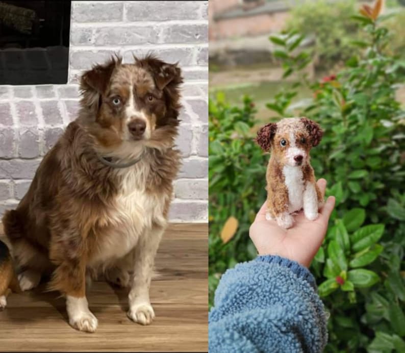 Op de afbeelding: Een bruine en witte Australian Shepherd die voor een bakstenen muur zit. Een kleinere gehaakte versie van de hond wordt in de hand van een persoon gehouden.
