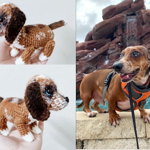 Perro de crochet personalizado, mascotas amigurumi personalizadas, mascota conmemorativa de crochet, perro parecido, perro personalizado, regalo para amantes de los perros, perro de peluche