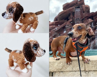 Aangepaste gehaakte hond, amigurumi aangepaste huisdieren, gehaakt huisdier gedenkteken, look alike hond, gepersonaliseerde hond, cadeau voor hondenliefhebbers, gevulde pluche hond
