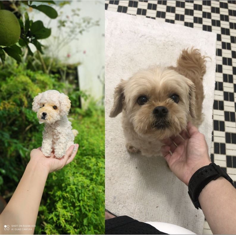 Custom Stuffed Dog, Custom Crochet Dog, Custom Dog Plush, Custom Stuffed Animal, Custom Pet Plush, Personalized Pet Gift, Dog lover gift image 8