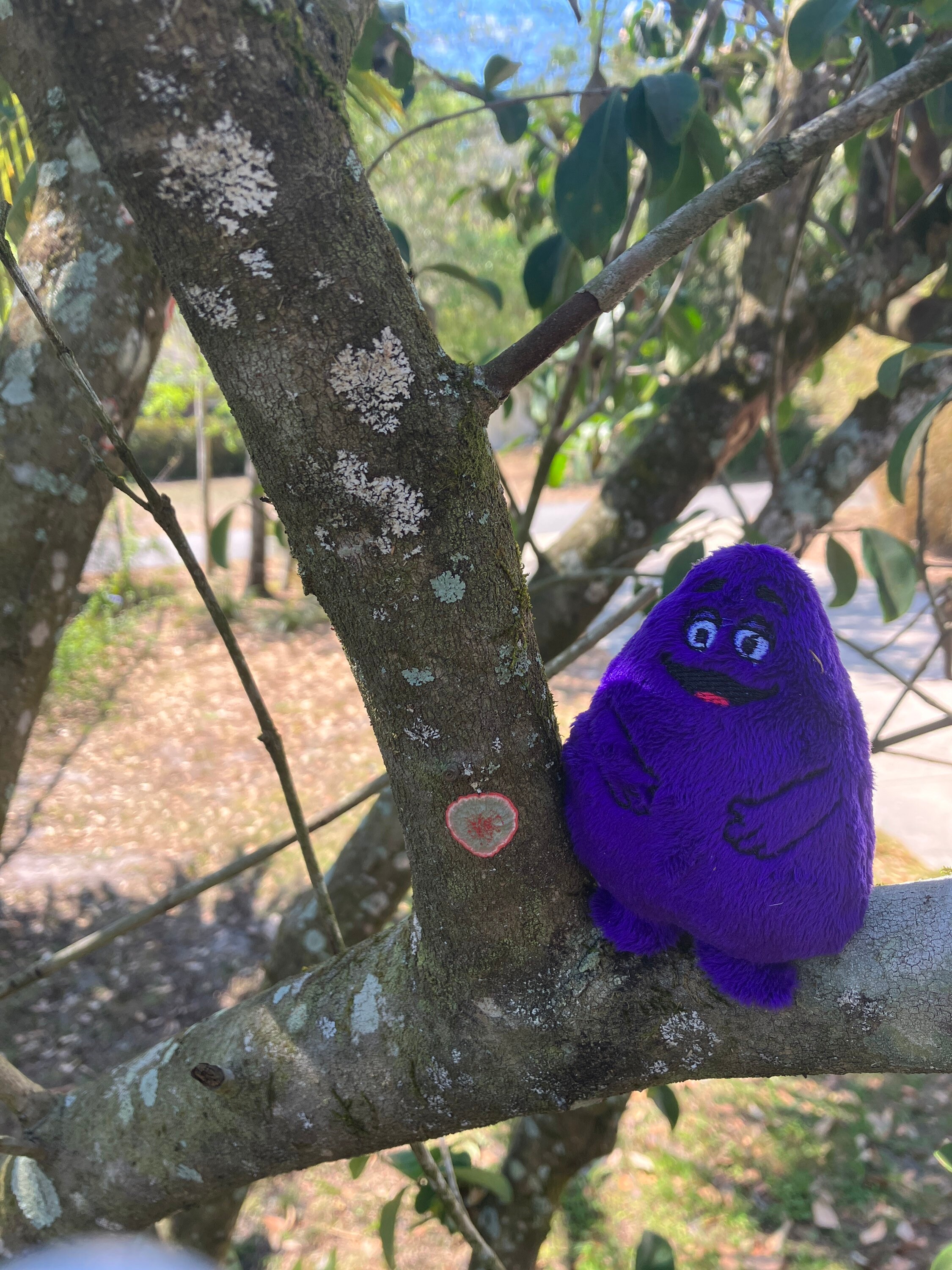 Purple Grimace Mini Plush - Etsy