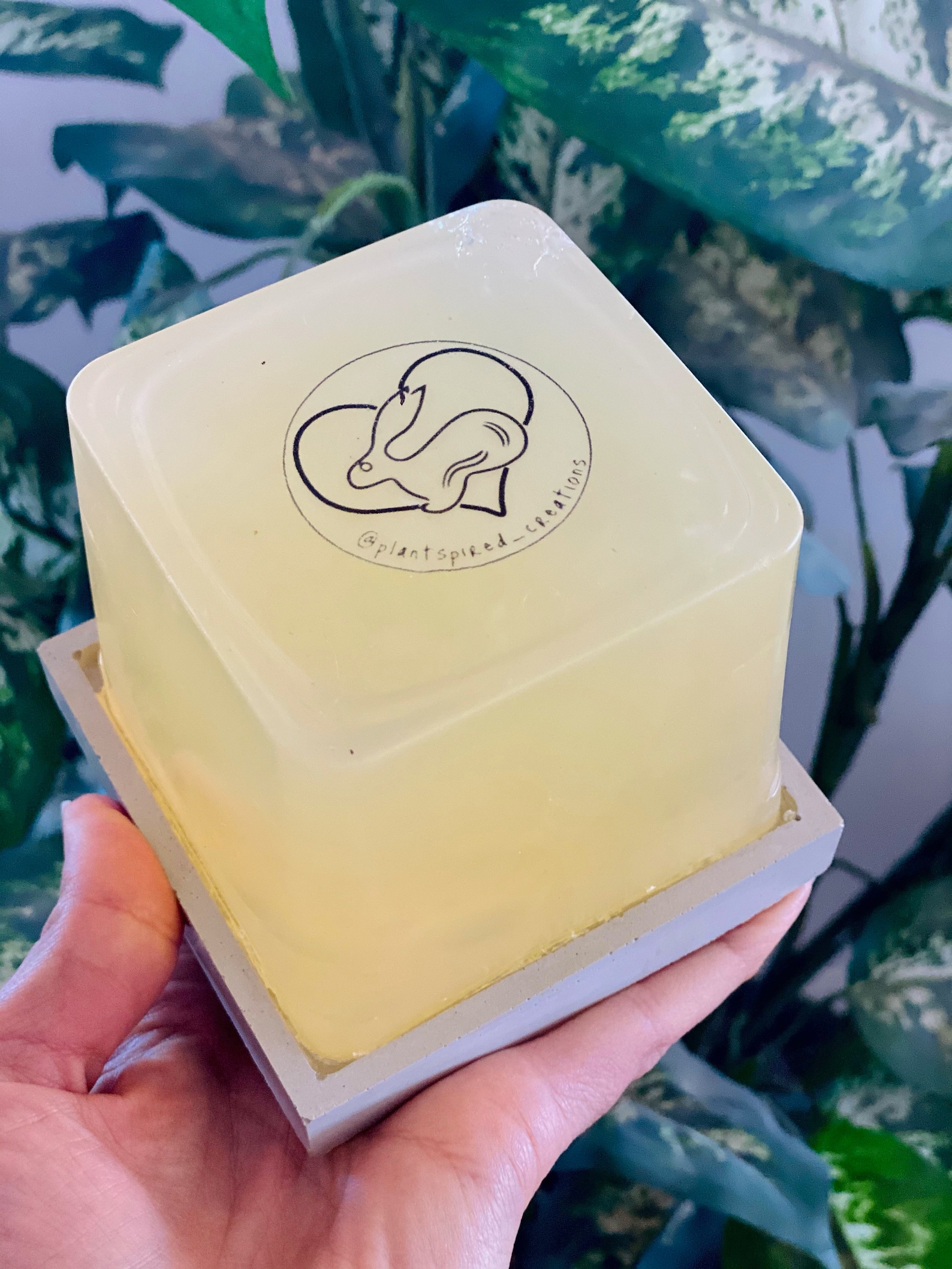 Dish Soap Block Vegan Handmade Lemon Orange Etsy