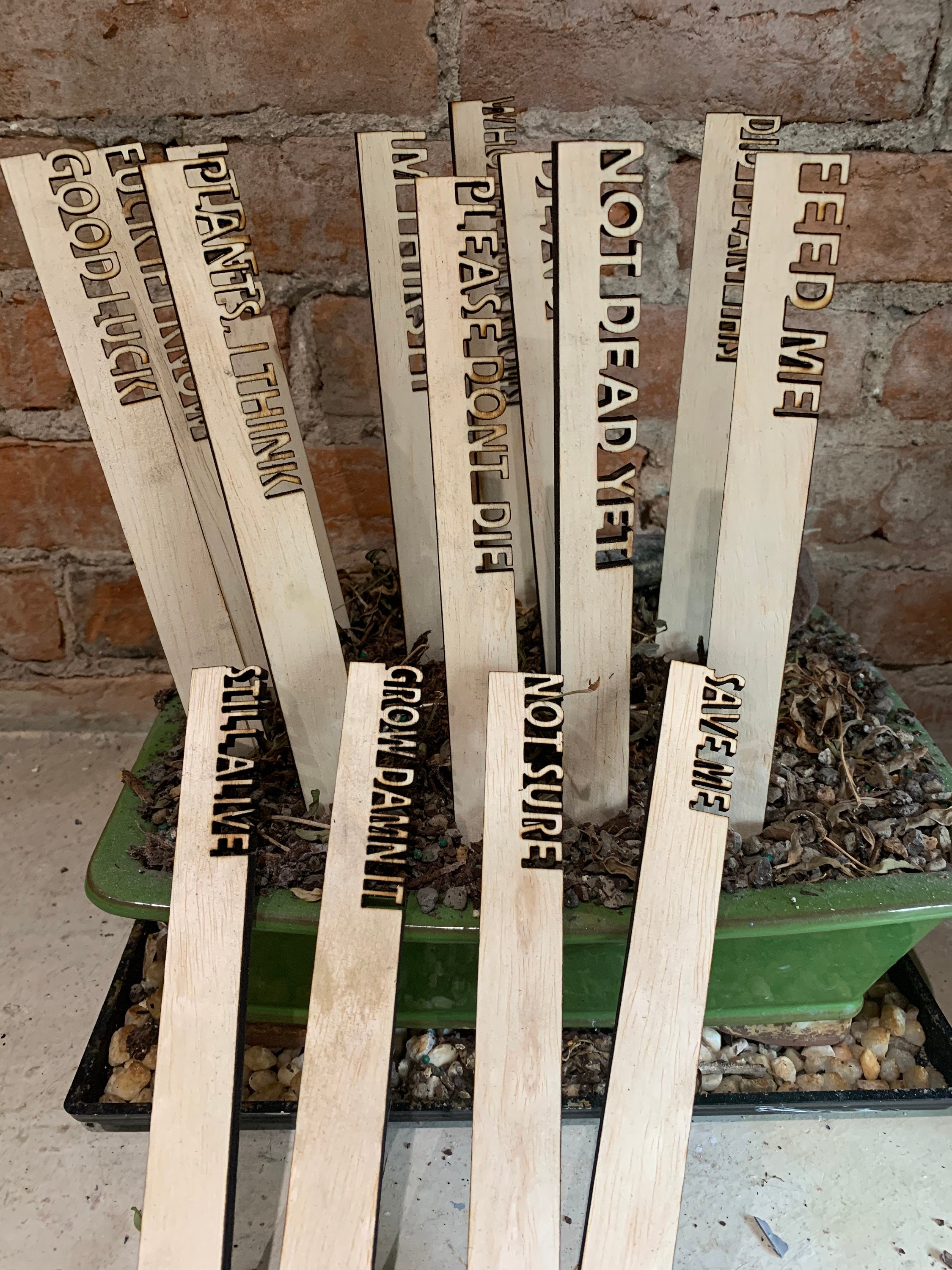 Funny Large Wooden Garden Stakes Etsy