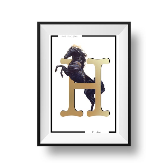 Pferd 4 Buchstaben