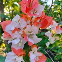 H.G. Wells' the Time Machine 1960 Movie Master 1/12 Scale Deluxe Model ...