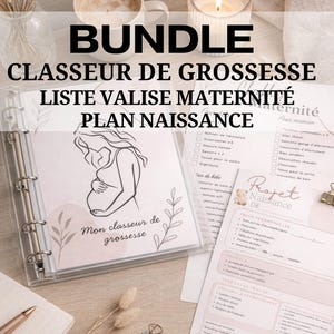 Peut inclure: Un ensemble de documents de planification de la grossesse et de bébé. Comprend un classeur avec une illustration de femme enceinte, des listes de contrôle et des formulaires. Le texte sur le classeur se lit "Mon classeur de grossesse".
