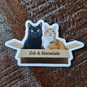 May include: A sticker featuring two cats, one black and one orange tabby, sitting in a cardboard box. The text "Cole & Marmalade" is printed on the box.