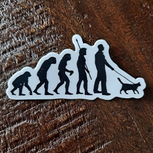 May include: A black and white sticker depicting the evolution of humans, ending with a person walking a cat on a leash.