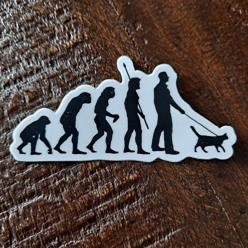 May include: A black and white sticker depicting the evolution of humans, ending with a person walking a cat on a leash.
