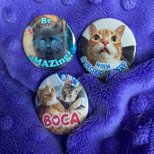 Puede incluir: Tres botones redondos con imágenes de gatos y texto. El primer botón presenta un gato negro con ojos azules y el texto "Be Amazing!" El segundo botón presenta un gato atigrado naranja con el texto "Marm A Decade of Derp". El tercer botón presenta dos gatos, uno naranja y uno atigrado, con el texto "Boca".