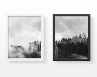 May include: Two framed black and white photographs of a misty forest scene. The top of the trees are visible above the fog.