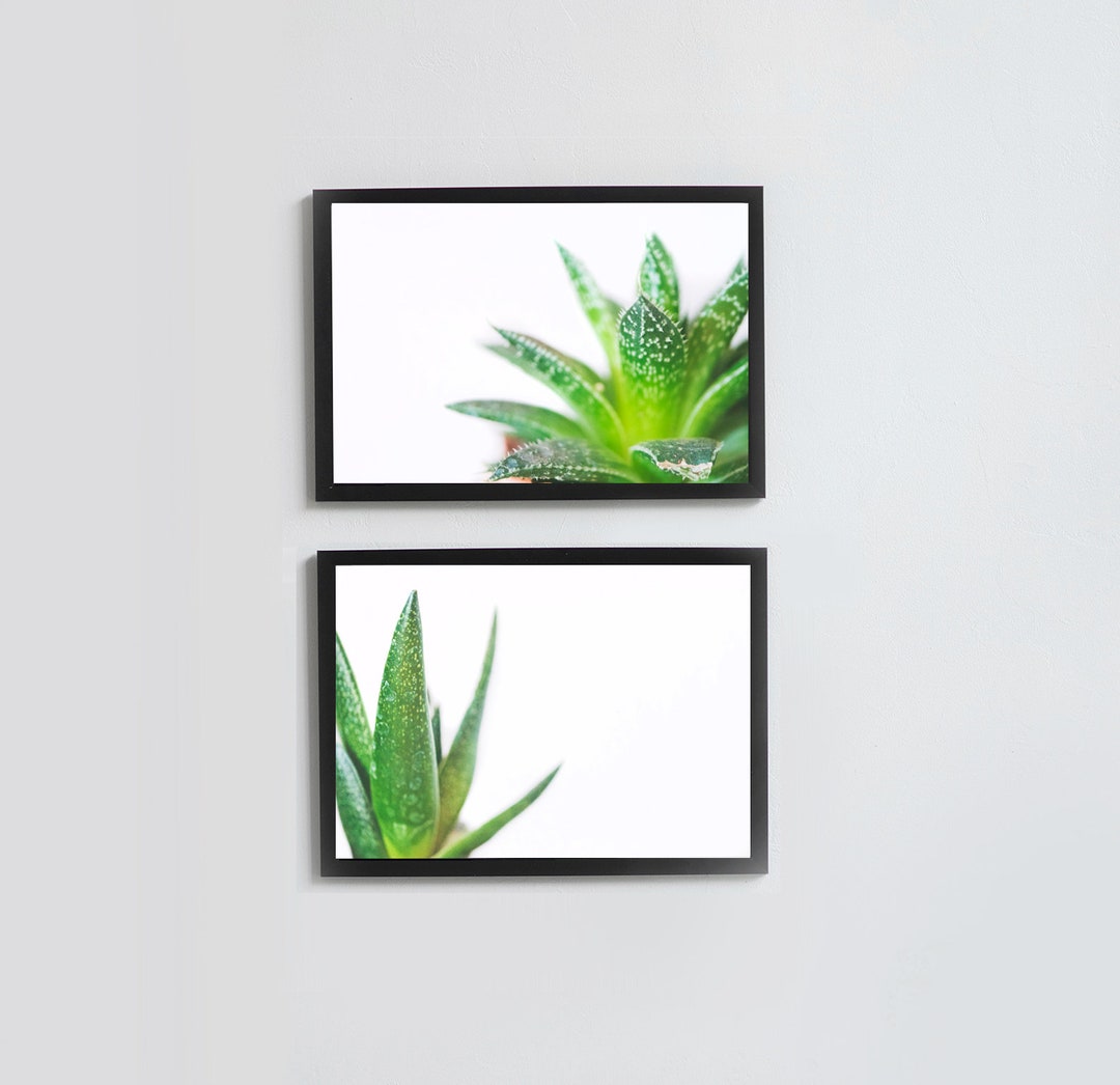Landscape, Aloe, Printable Wall Art, Modern Home Decor, Set of 2 Prints ...