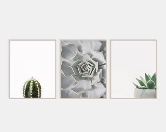 サボテンのイラストアートプリントバンドル：アートプリント3枚セット