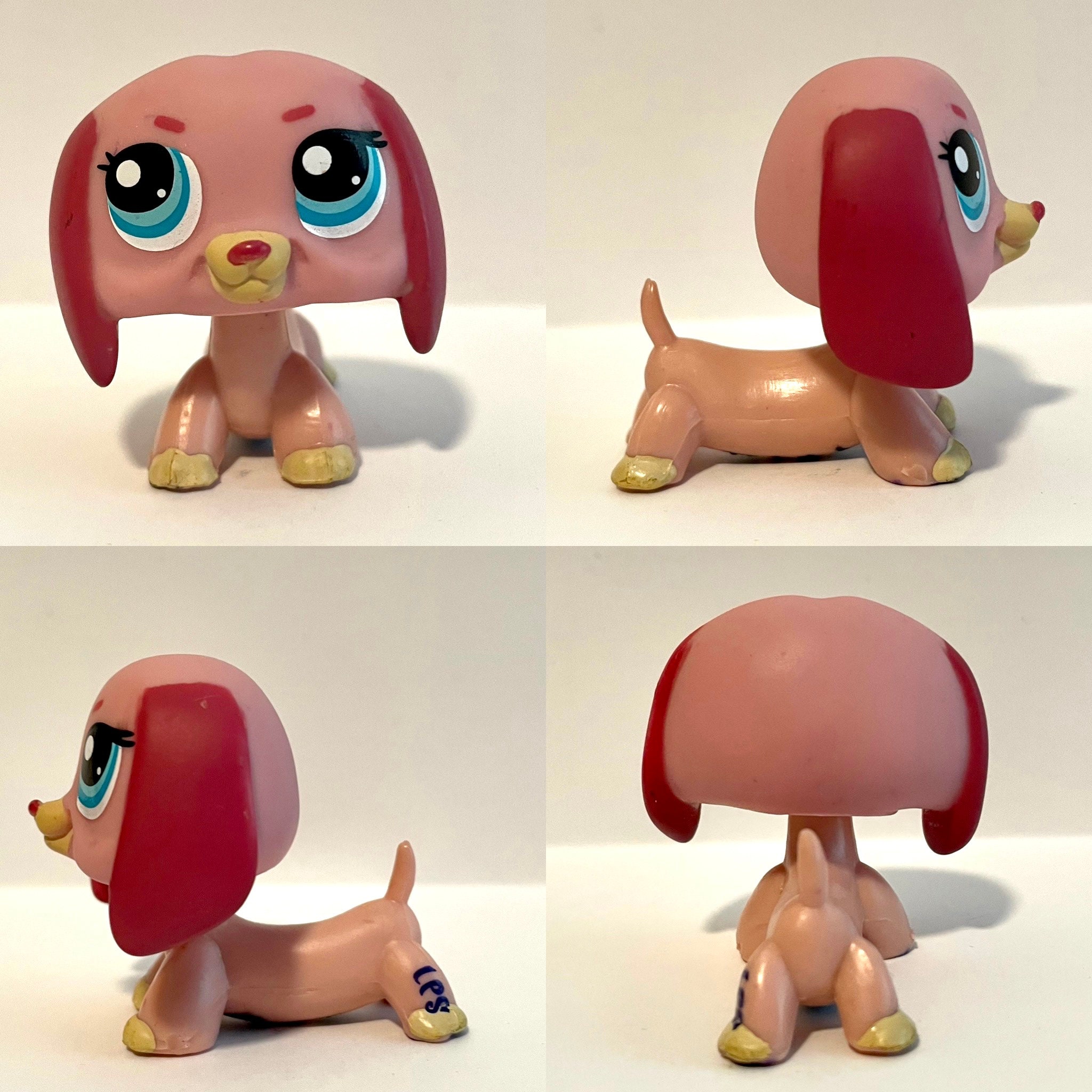 All top lps dachshunds