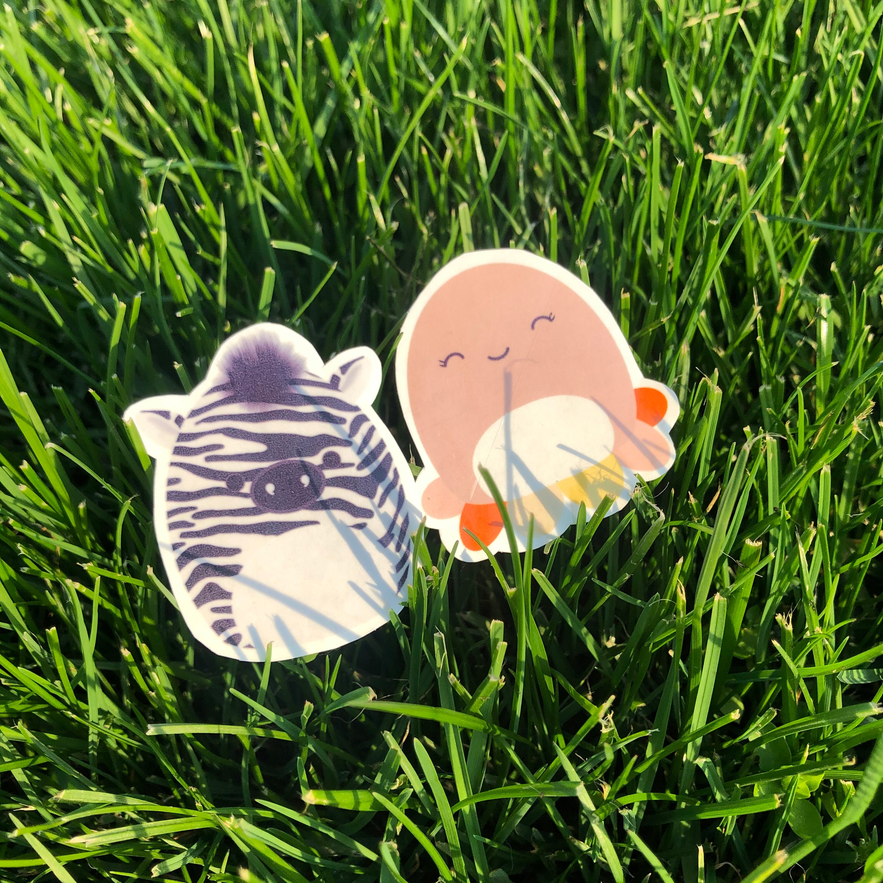 freddie squishmallow