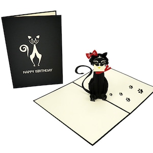 Birthday Cat