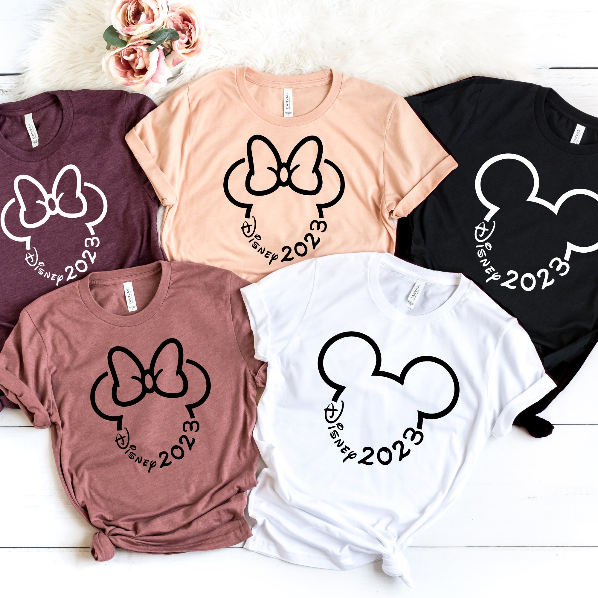 Discover 2023 Disneyland Group T-shirt,Family Disneyworld Shirts, Disneyland shirts