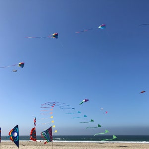 Flags Flying Over Pacific Beach