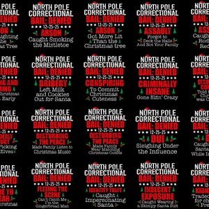 Matching Family Christmas Png, North Pole Correctional, Funny Group Christmas shirts, Holiday Tshirts, Christmas Png, Xmas Family png image 2