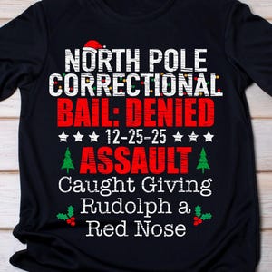 Matching Family Christmas Png, North Pole Correctional, Funny Group Christmas shirts, Holiday Tshirts, Christmas Png, Xmas Family png image 7