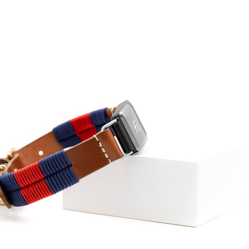 Leather Fi Dog Collar Band the Carter Brass Hardware Etsy