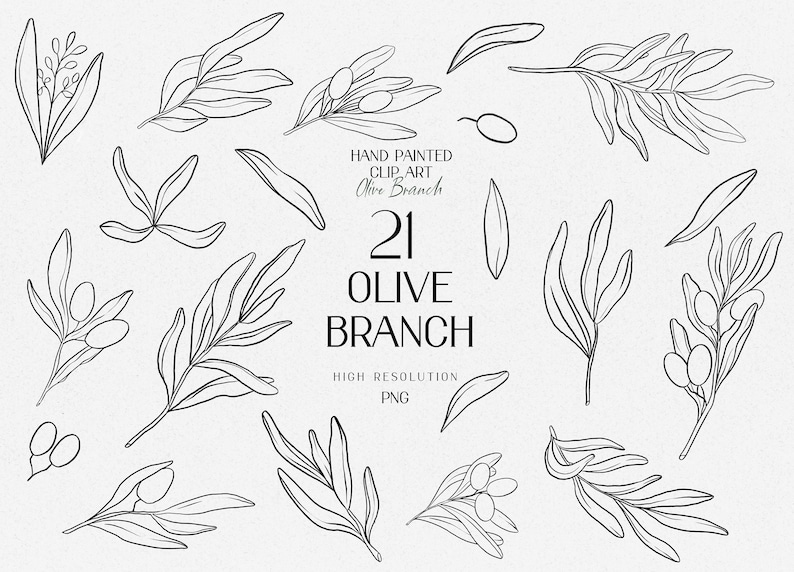 Olive Branch Line Art Olive Branch Luxe Clipart Set - Etsy