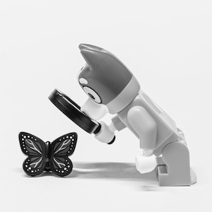 Puede incluir: Una figura de Lego gris y blanca examina una mariposa negra con una lupa. La mariposa tiene detalles de puntos y líneas blancas en sus alas. La figura está en cuclillas.