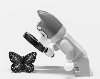 Bingo Hyperfocus– Giclée Photography Print (8.5×11)