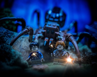 Harry & Ron vs Aragog – Giclée Photography Print (8.5×11)