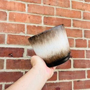 May include: A brown and white ceramic planter with a glazed finish. The planter has a rounded shape and a wide opening.