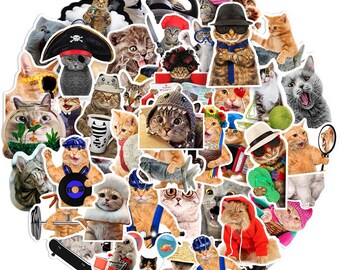 66pcs Funny Meme Cat Stickers Pack Kawaii Funny Gift Cute Cats Stickers Waterproof Stickers For Laptop Water Bottle Guitar Skateboard Decals