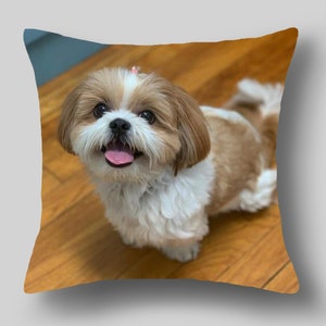 Custom Pillow Etsy Singapore
