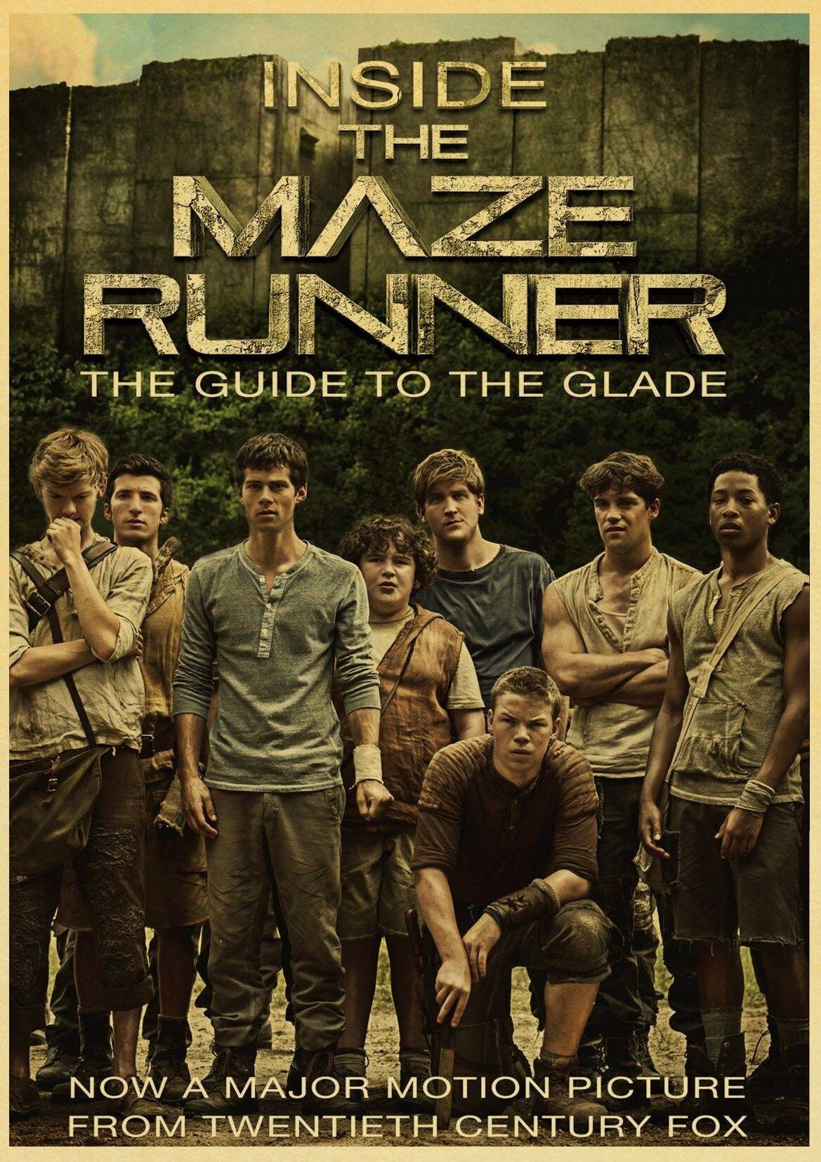 The Maze Runner posters  Maze runner trilogy, Maze runner, Maze runner  movie