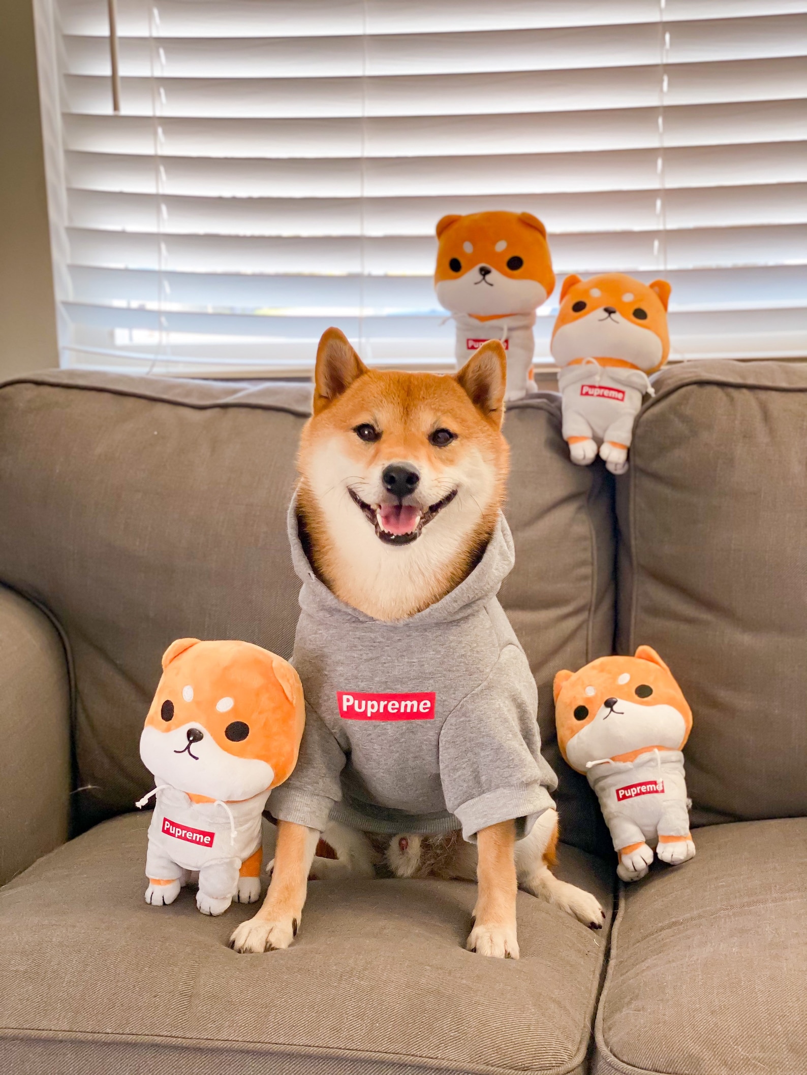 shiba inu plush dog