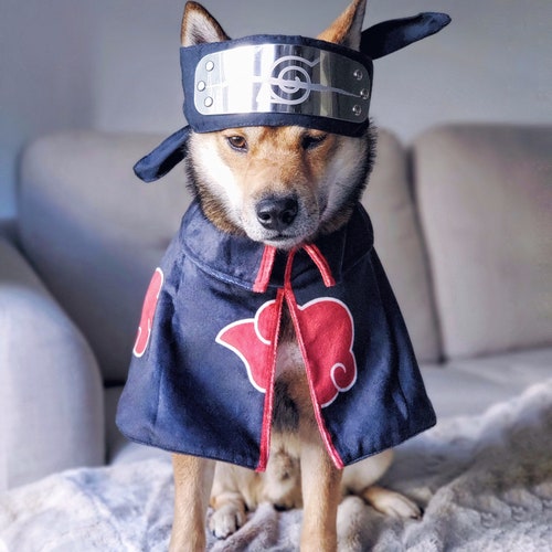 Chainsaw Man Pochita Dog Cat Costume Pochita Cosplay Cloak Etsy India