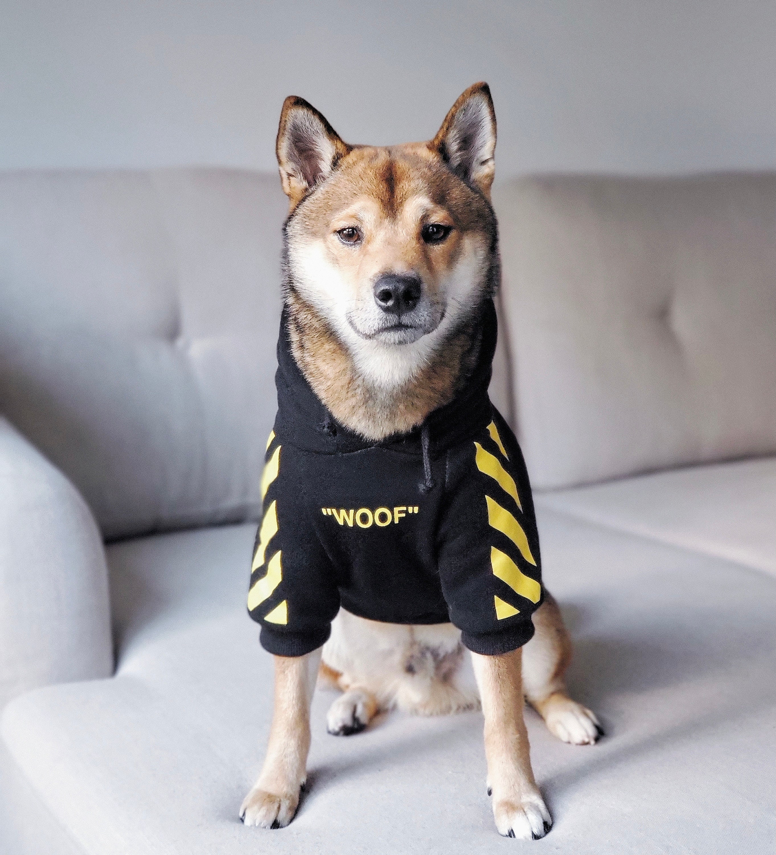 Woof Dog Hoodie Pet Clothes Stylish Streetwear Cotton Etsy