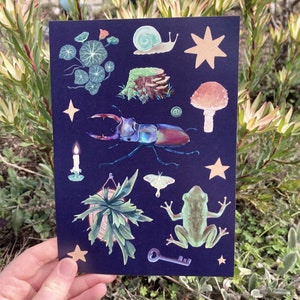 beetle & friends - Naturbezogene A5 Kunstdruck Postkarte