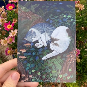 Waldkatzen - A6 Postkarte