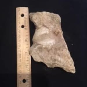 May include: A light brown, irregularly shaped rock with a white, crystalline formation inside. The rock is about 4 inches long and 3 inches wide.