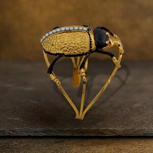 May include: A gold-toned beetle-shaped brooch with a textured body and black accents. The brooch features small, pearl-like embellishments and is supported by a heart-shaped stand. Red gemstones accent the head.