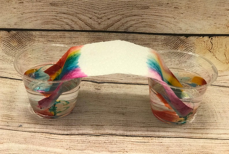 May include: A rainbow-coloured paper towel bridge connecting two clear plastic cups filled with water. The water has absorbed the colours from the paper towel, creating a colourful effect.
